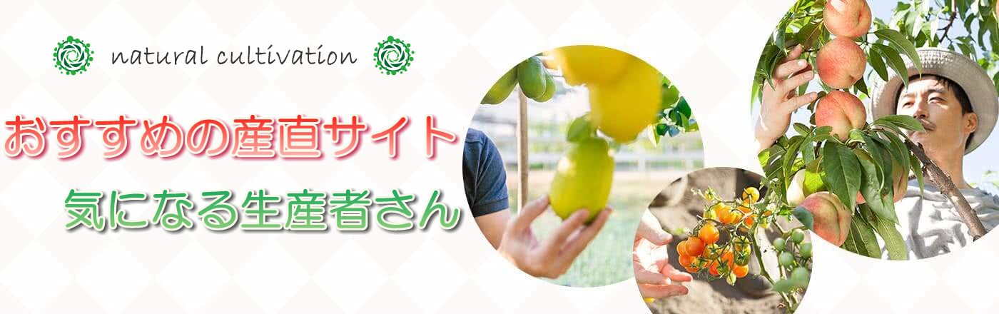 食べチョクの使い方